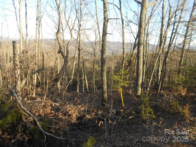 0000 Arbra Mountain Way 54, Bostic, NC 28018