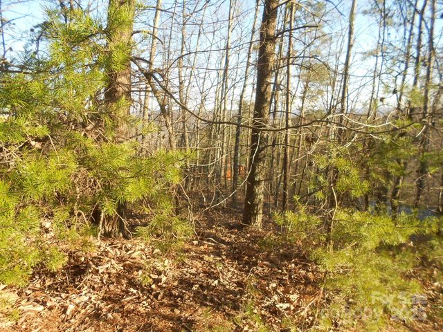 0000 Arbra Mountain Way 54, Bostic, NC 28018