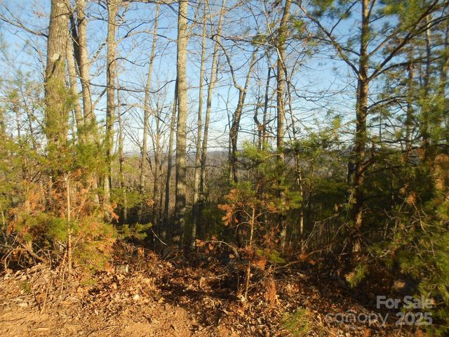 0000 Arbra Mountain Way 54, Bostic, NC 28018