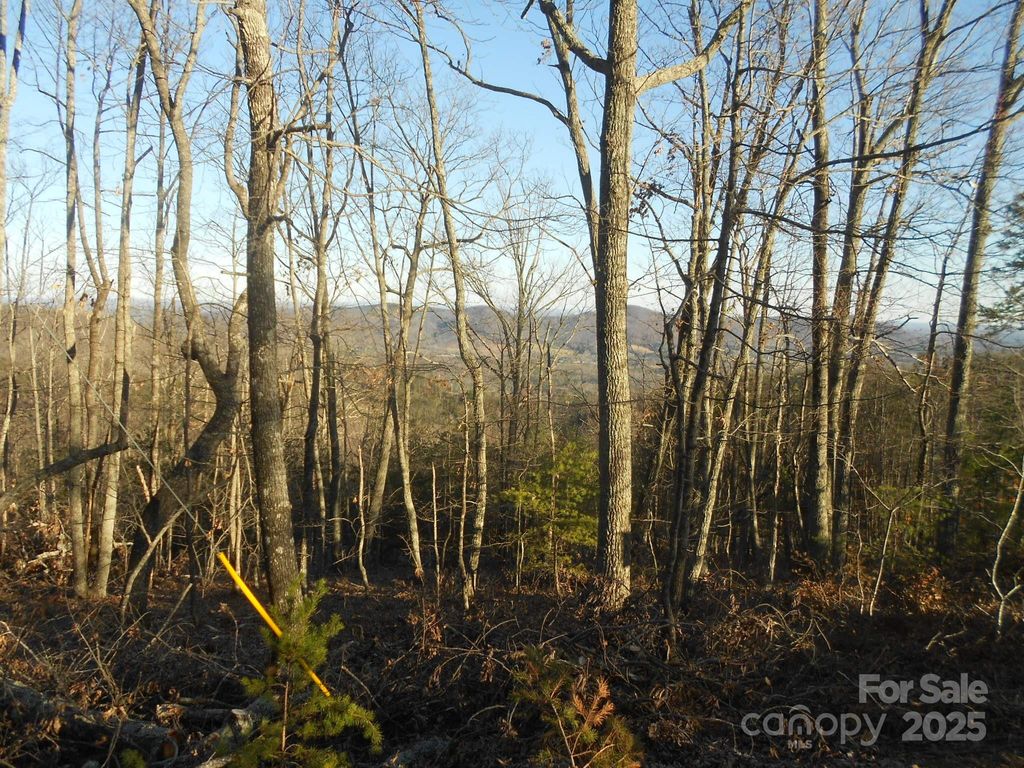 0000 Arbra Mountain Way 54, Bostic, NC 28018