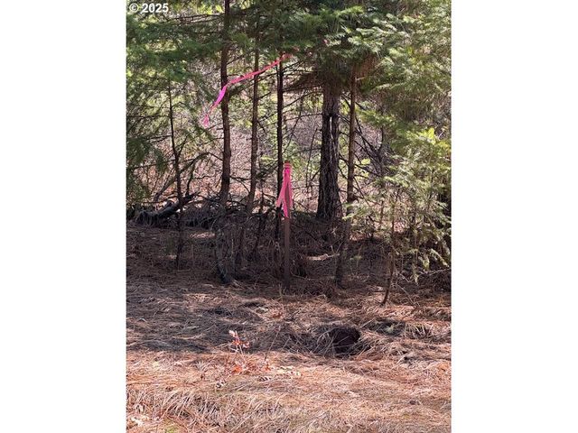 170 LYONS Rd, White Salmon, WA 98672