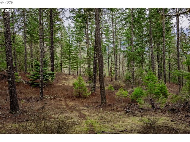 170 LYONS Rd, White Salmon, WA 98672