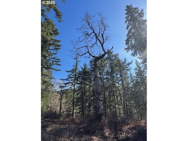 170 LYONS Rd, White Salmon, WA 98672