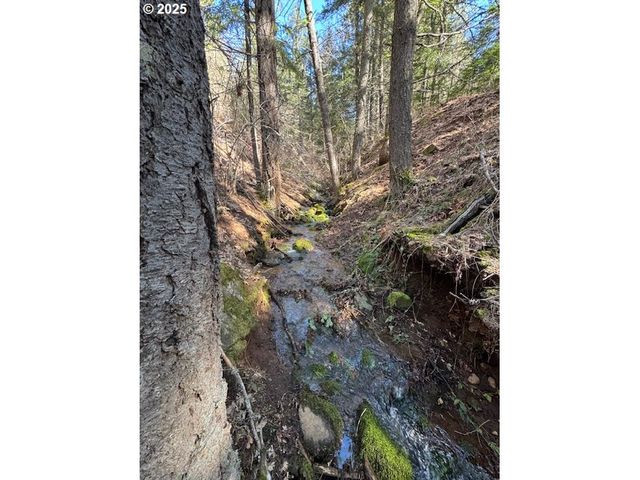 170 LYONS Rd, White Salmon, WA 98672