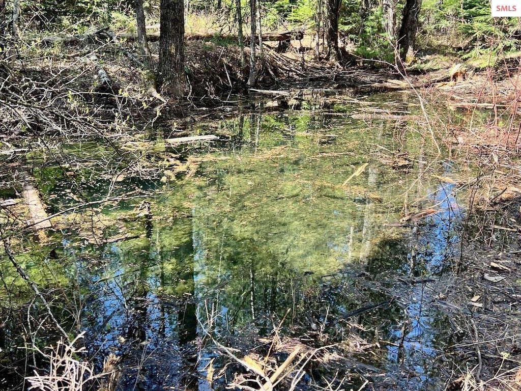 1198 Mountain View Dr, Sandpoint, ID 83864 photo 76