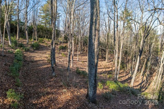 Lot 25 Lakeside Trail, Lake Toxaway, NC 28747