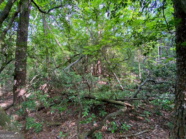 0 Sara Lane LOT 6, Sautee Nacoochee, GA 30571