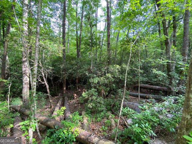 0 Sara Lane LOT 6, Sautee Nacoochee, GA 30571