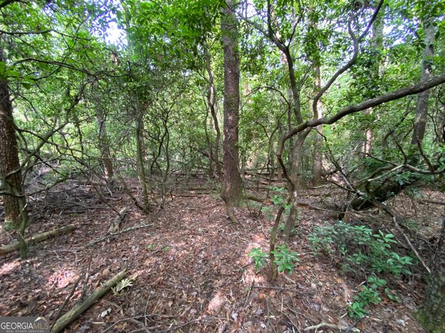 0 Sara Lane LOT 6, Sautee Nacoochee, GA 30571