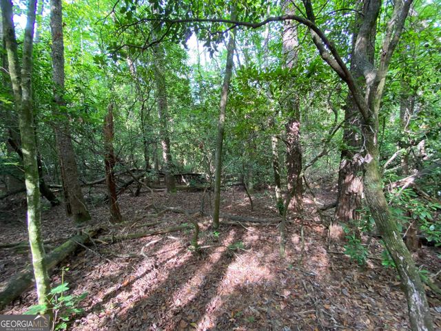 0 Sara Lane LOT 6, Sautee Nacoochee, GA 30571