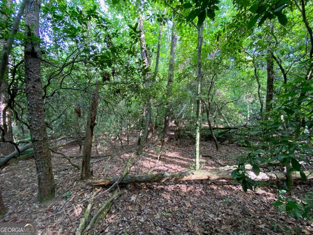 0 Sara Lane LOT 6, Sautee Nacoochee, GA 30571