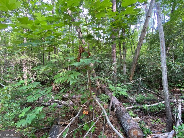 0 Sara Lane LOT 6, Sautee Nacoochee, GA 30571