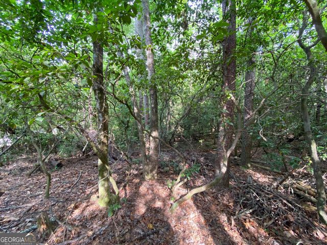 0 Sara Lane LOT 6, Sautee Nacoochee, GA 30571
