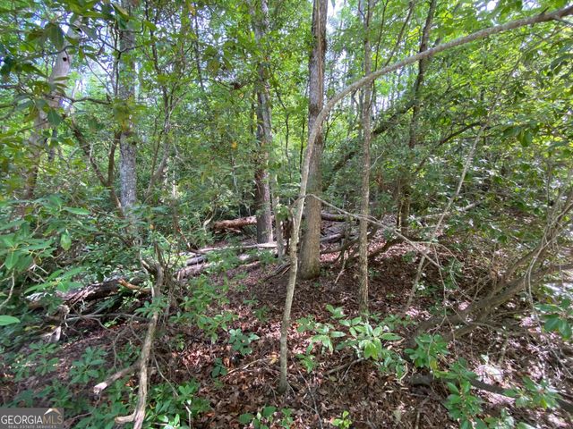 0 Sara Lane LOT 6, Sautee Nacoochee, GA 30571