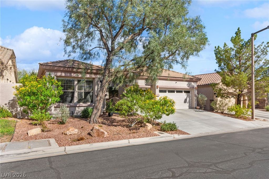 3290 Squire Street, Las Vegas, NV 89135 — photo 3