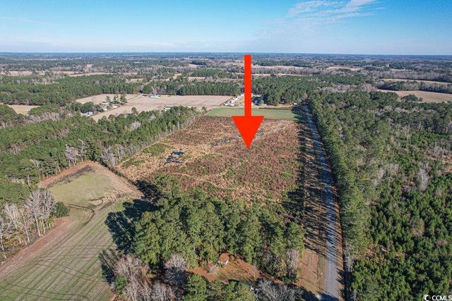 TBD Billy MC Rd., Green Sea, SC 29545