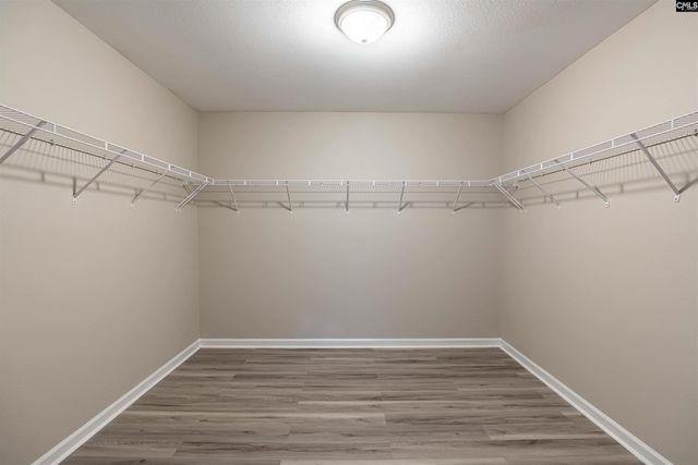 303 Feather Site Court, Lexington, SC 29072