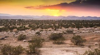58459 Starlight Mesa, Yucca Valley, CA 92284