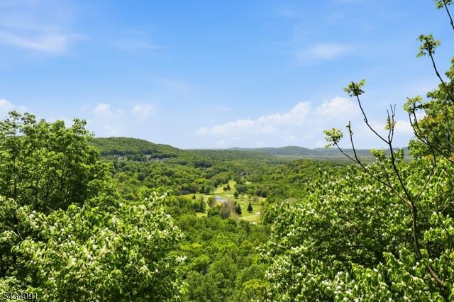 9 Coneflower Ct, Allamuchy Twp., NJ 07840