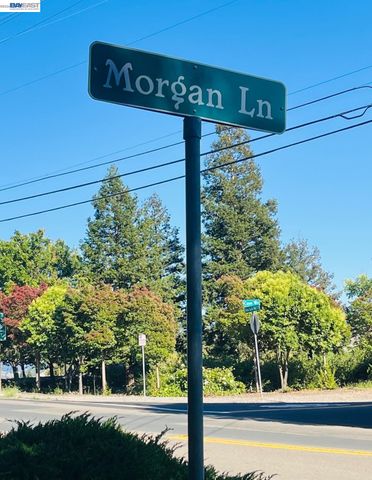 1594 Morgan Ln., Walnut Creek, CA 94597