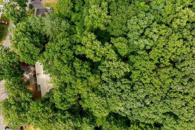 1113 Berry Road, Elizabethton, TN 37643