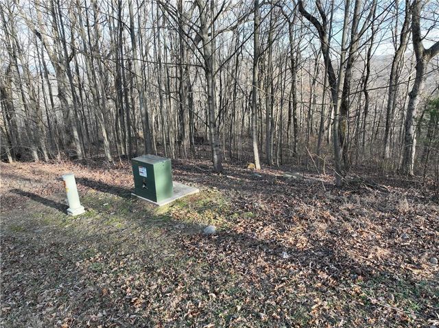 275 Andes Ridge, Ellijay, GA 30536