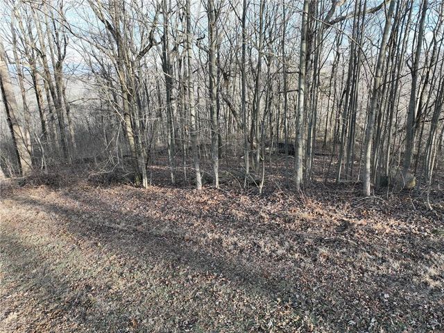 275 Andes Ridge, Ellijay, GA 30536