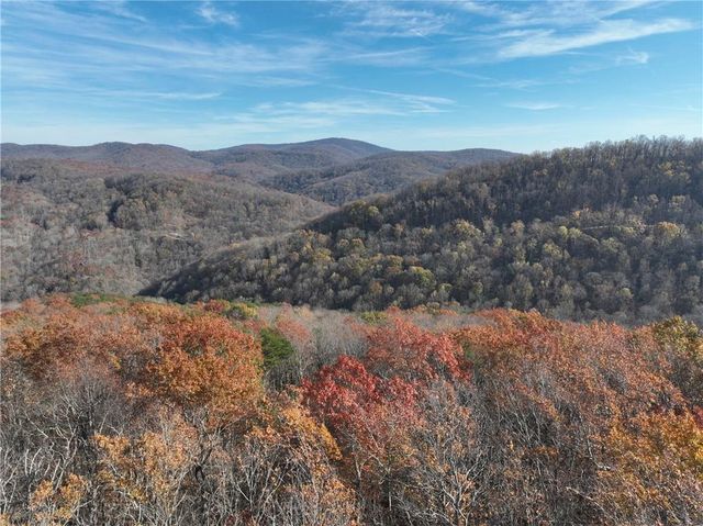 275 Andes Ridge, Ellijay, GA 30536