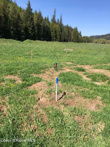 20 Horn Hooked Ln, St. Maries, ID 83861