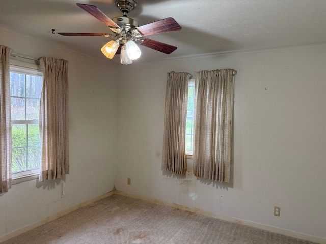 1369 Gip Manning Rd, Clarksville, TN 37042
