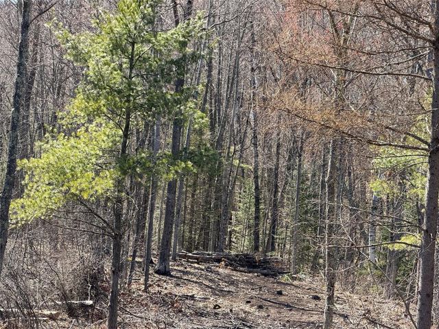 Lot 2 Eaton Road, Hayward, WI 54843