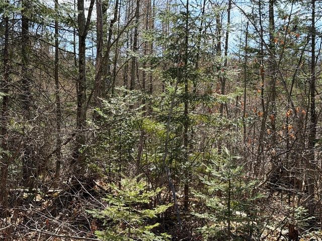 Lot 2 Eaton Road, Hayward, WI 54843