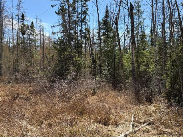 Lot 2 Eaton Road, Hayward, WI 54843