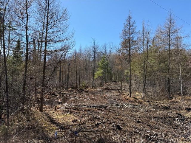 Lot 2 Eaton Road, Hayward, WI 54843
