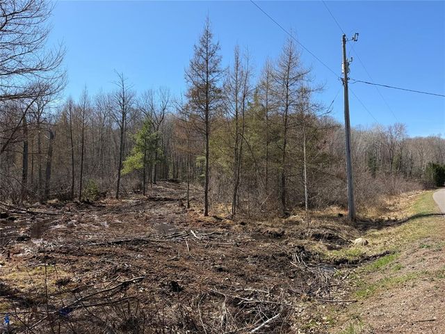 Lot 2 Eaton Road, Hayward, WI 54843