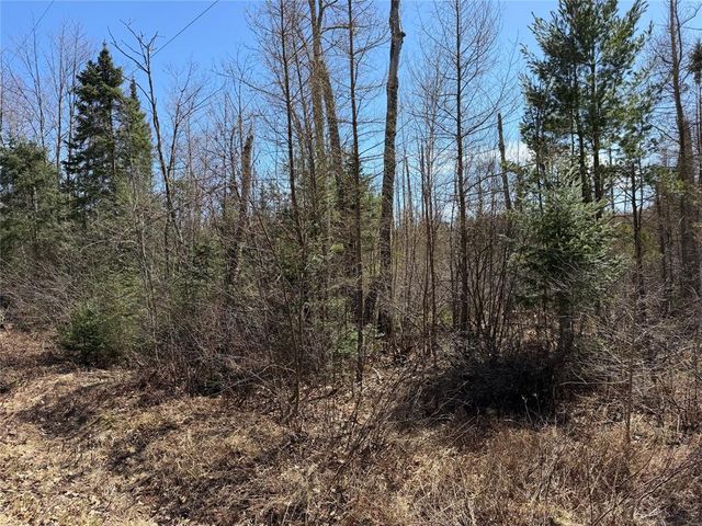 Lot 2 Eaton Road, Hayward, WI 54843