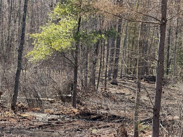 Lot 2 Eaton Road, Hayward, WI 54843