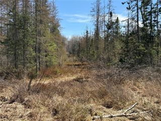 Lot 2 Eaton Road, Hayward, WI 54843