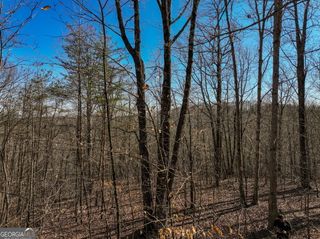 LOT 9 Mount Mincie Road, Murrayville, GA 30564