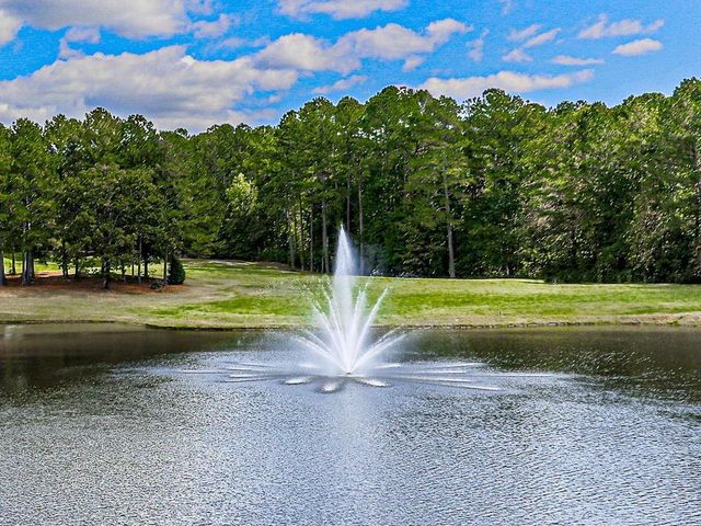 403 Dogwood Way, Canton, GA 30114