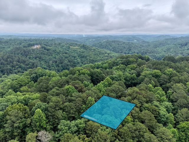 9 Mystic Court, Ellijay, GA 30540