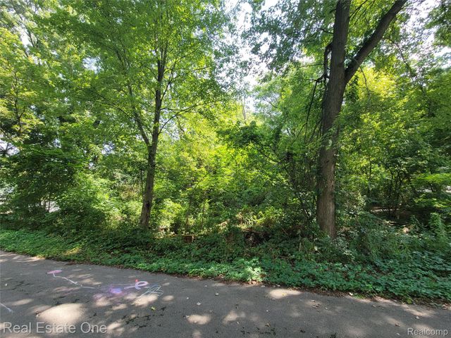 Vacant Tamworth Street, Commerce Charter Township, MI 48382