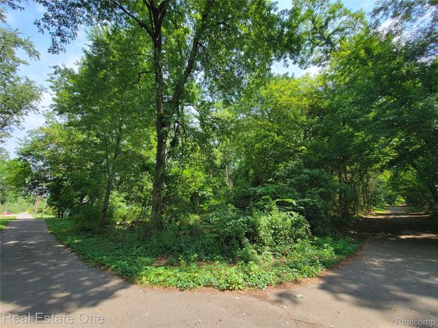 Vacant Tamworth Street, Commerce Charter Township, MI 48382