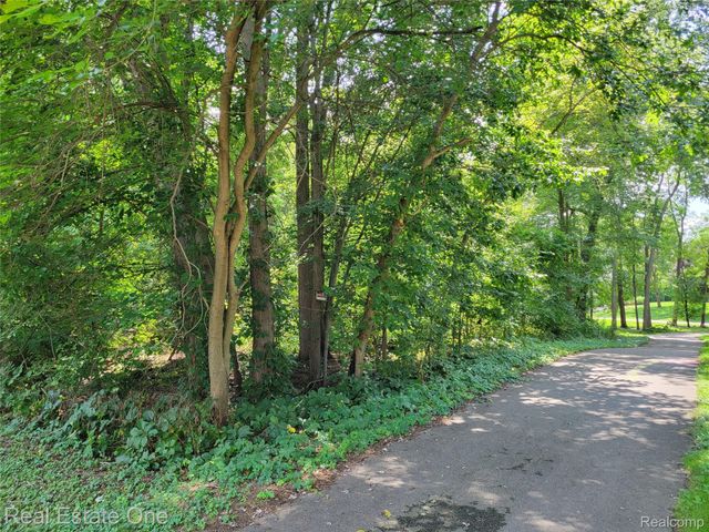 Vacant Tamworth Street, Commerce Charter Township, MI 48382