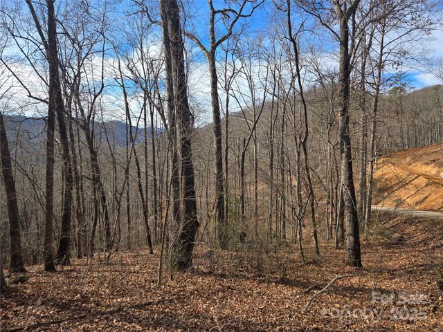 000 Stone Pillow Road 14B, Tuckasegee, NC 28783