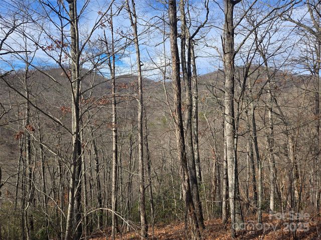 000 Stone Pillow Road 14B, Tuckasegee, NC 28783