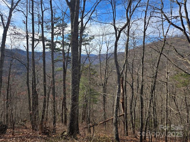 000 Stone Pillow Road 14B, Tuckasegee, NC 28783