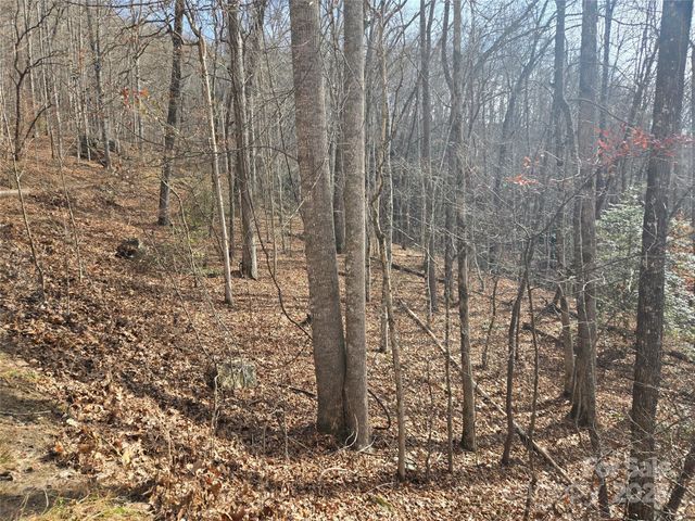 000 Stone Pillow Road 14B, Tuckasegee, NC 28783