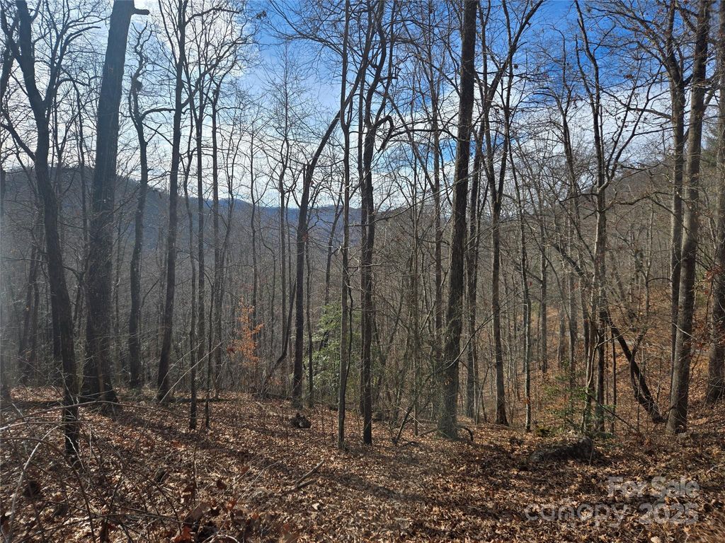 000 Stone Pillow Road 14B, Tuckasegee, NC 28783