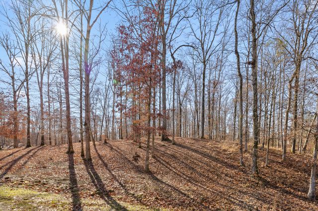 159 Litchfield Lane, Cleveland, TN 37312